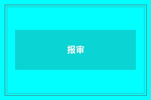 报审