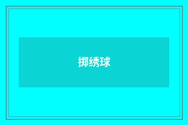 掷绣球