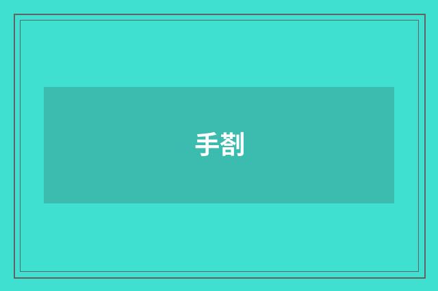 手剳