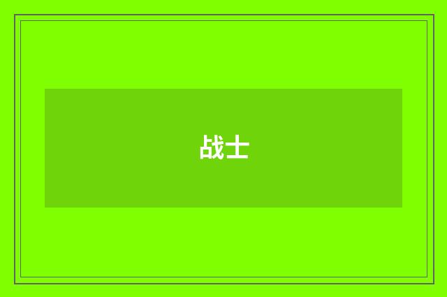 战士