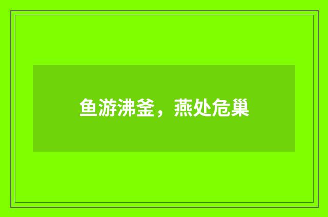 鱼游沸釜，燕处危巢