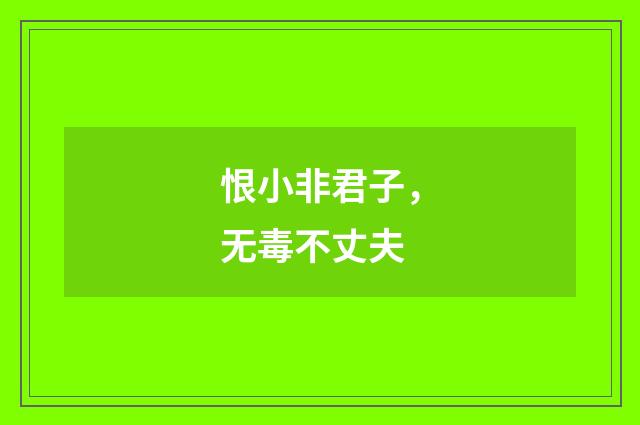 恨小非君子，无毒不丈夫