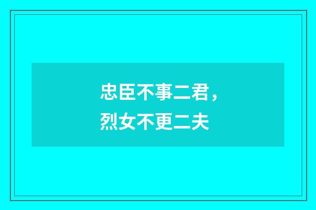 忠臣不事二君，烈女不更二夫