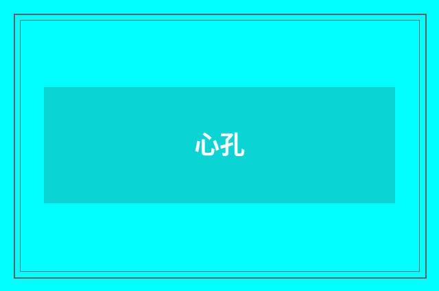 心孔