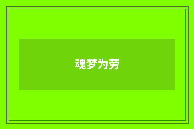 魂梦为劳