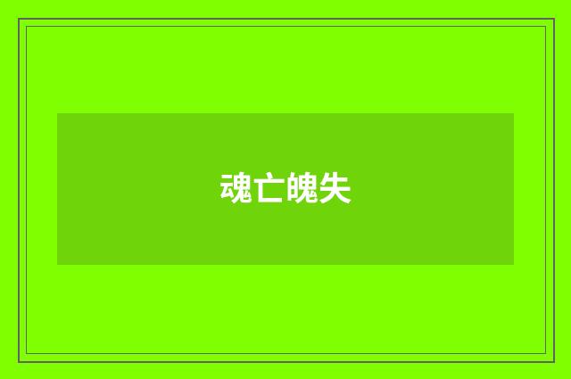 魂亡魄失