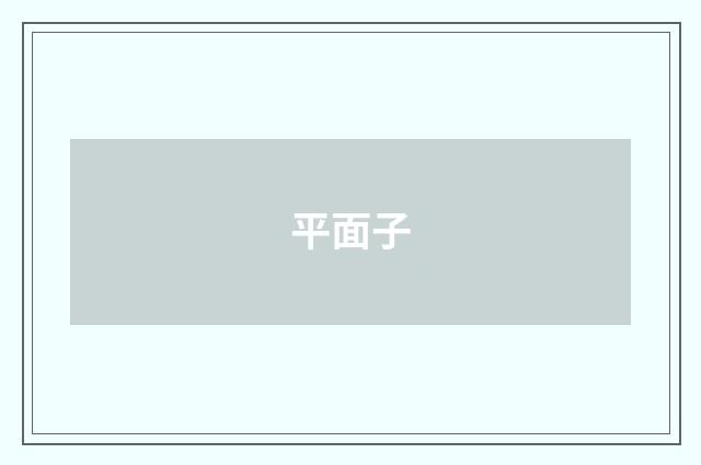 平面子