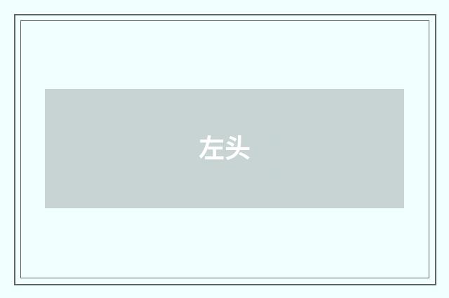 左头