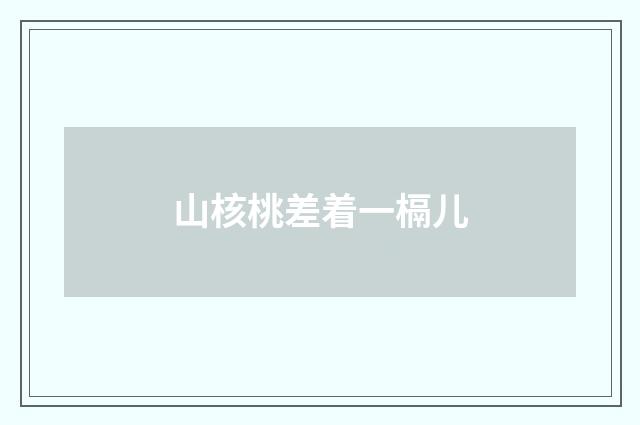 山核桃差着一槅儿