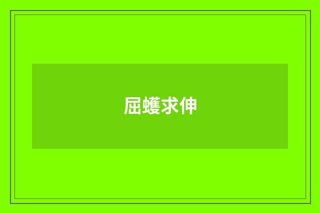 屈蠖求伸