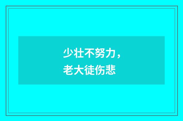 少壮不努力，老大徒伤悲