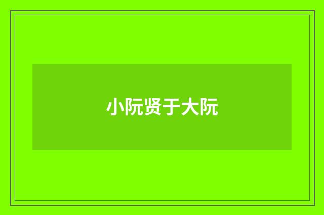 小阮贤于大阮