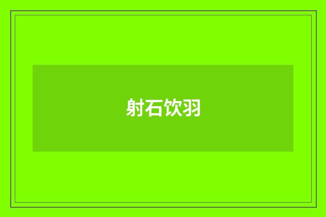 射石饮羽