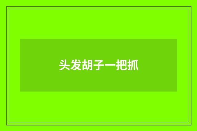 头发胡子一把抓