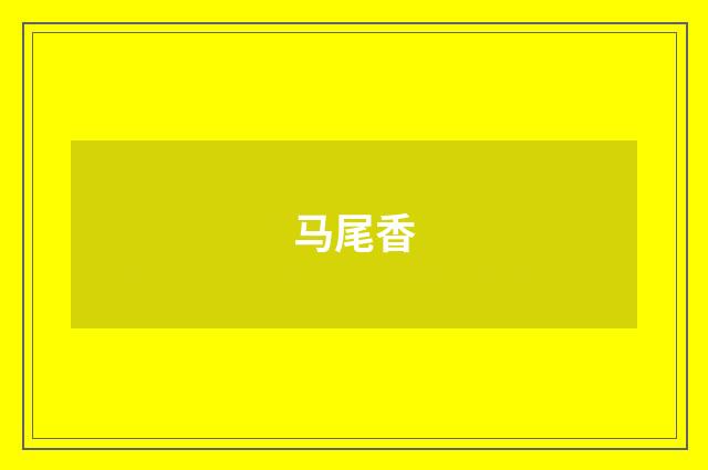 马尾香