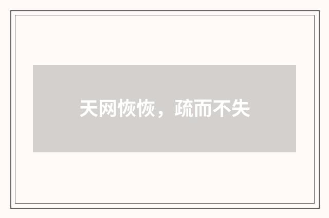 天网恢恢，疏而不失