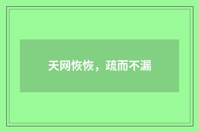 天网恢恢，疏而不漏