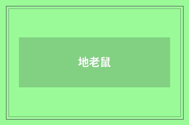 地老鼠