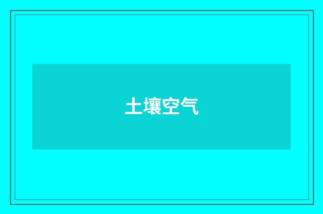 土壤空气