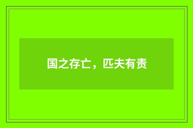国之存亡，匹夫有责
