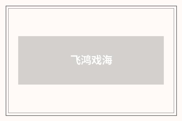 飞鸿戏海