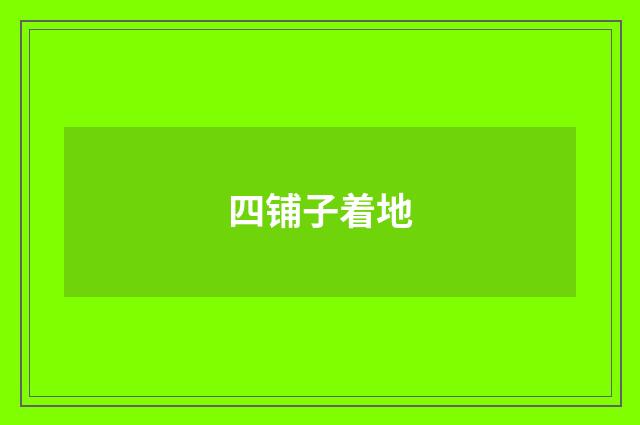 四铺子着地