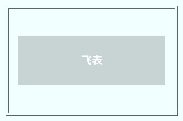 飞表