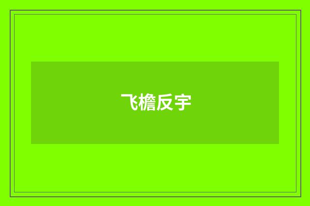 飞檐反宇
