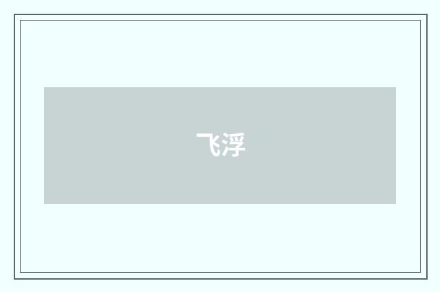 飞浮