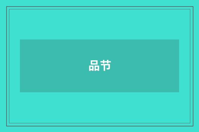 品节