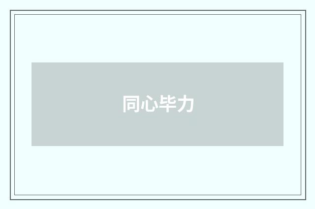 同心毕力