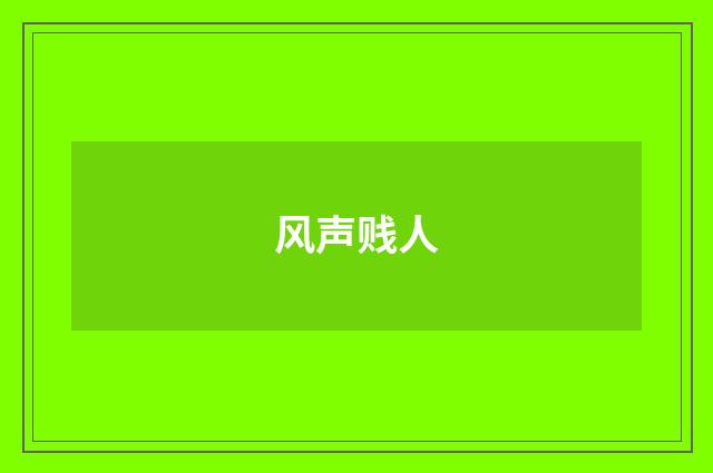 风声贱人