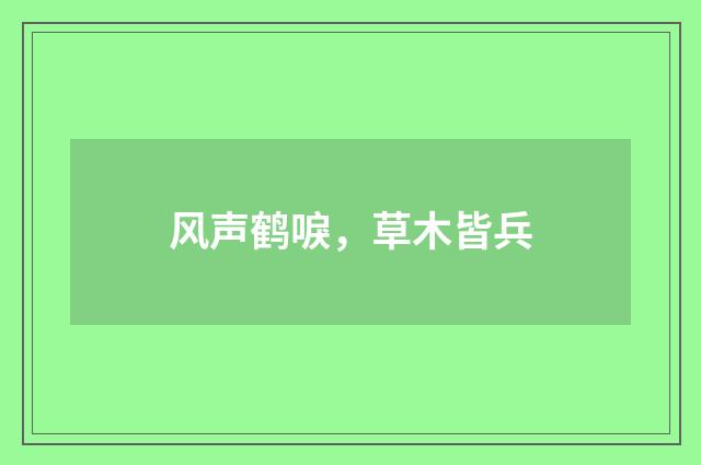 风声鹤唳，草木皆兵