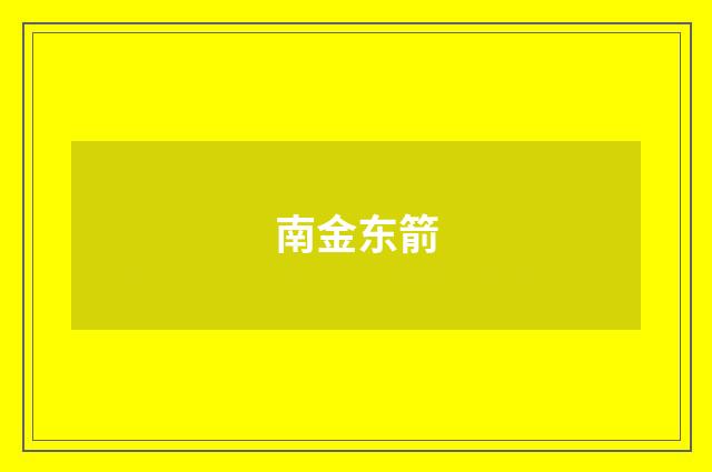 南金东箭
