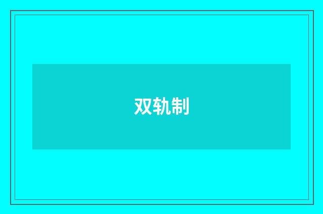双轨制