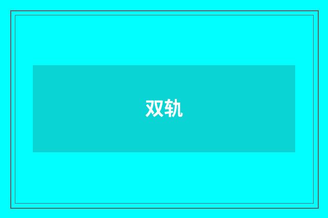 双轨
