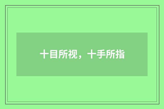 十目所视,十手所指