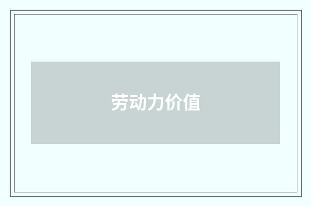 劳动力价值