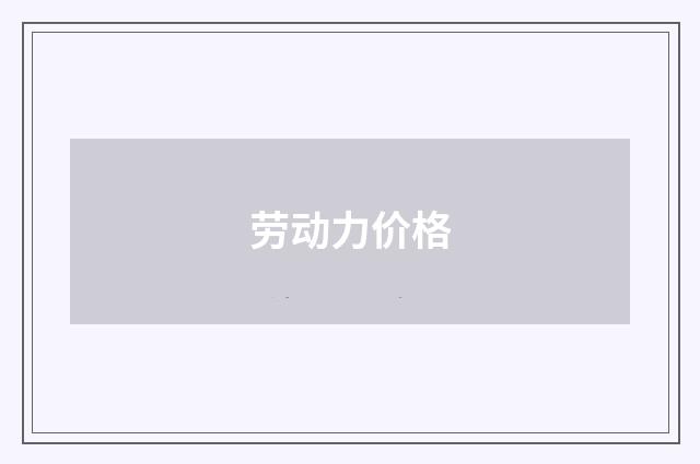 劳动力价格