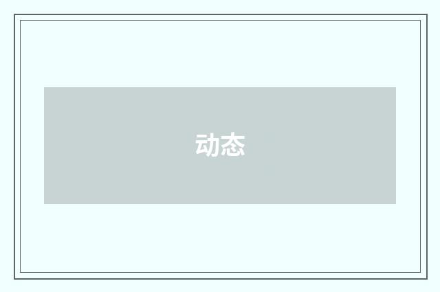 动态