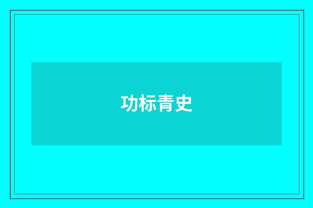 功标青史