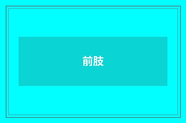 前肢