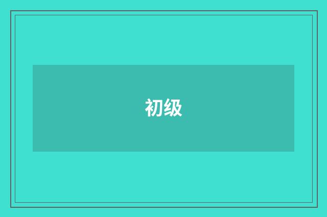 初级