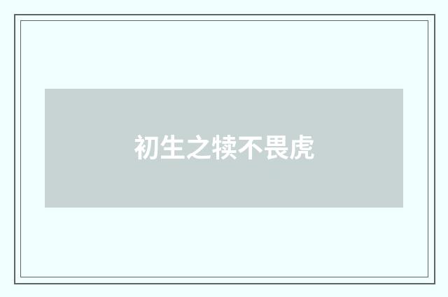 初生之犊不畏虎