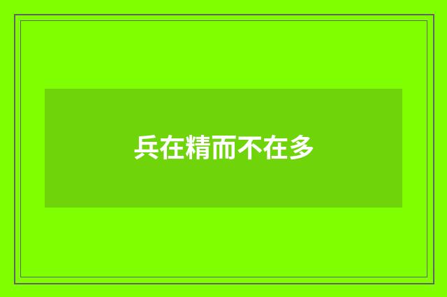 兵在精而不在多
