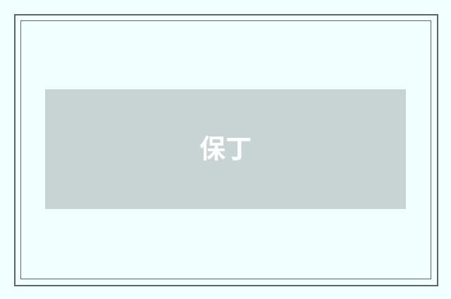 保丁