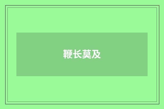 鞭长莫及