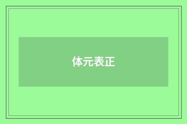 体元表正