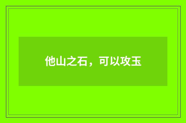 他山之石，可以攻玉