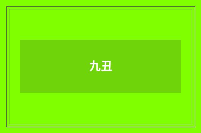 九丑